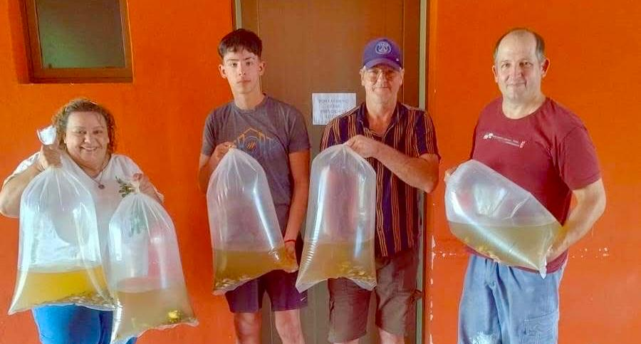 Misiones: Entregaron alevinos de pacú y sábalos a productores del Mercado Concentrador Zonal en la ciudad de Oberá