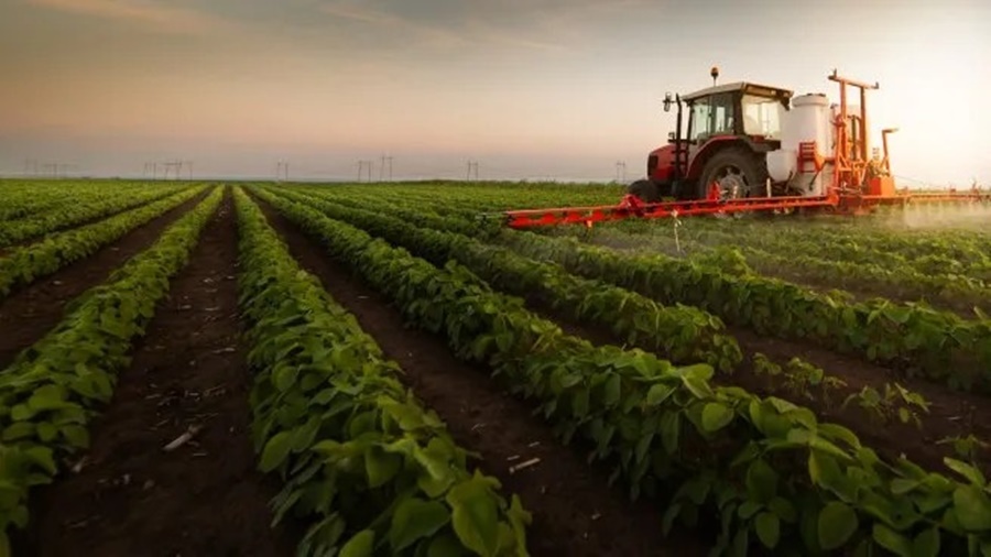 Según la Bolsa de Comercio de Rosario: Estiman que el agro exportará 29.170 millones de dólares en 2024 y será el tercer mejor año de la historia