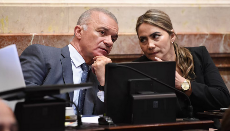 Ficha Limpia: La trastienda de una noche que terminó con un giro sorpresivo desde Misiones e hizo caer la Ley por un voto, los Senadores Carlos Arce y Sonia Rojas Decut nunca pusieron en duda su apoyo al Proyecto