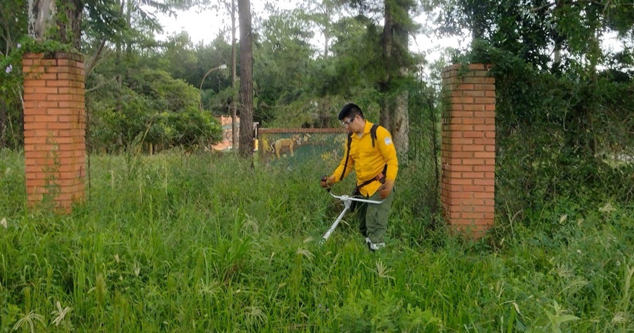Candelaria: Comenzaron con la puesta en valor del Club de Ecología ubicado en inmediaciones de la Reserva El Puma