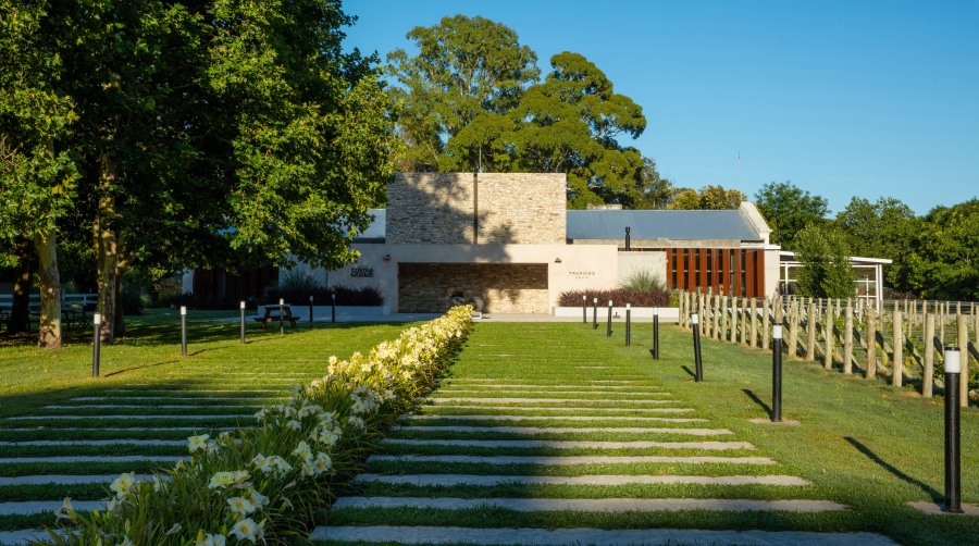 Una joya oceánica: El Riesling de Bodega Costa & Pampa