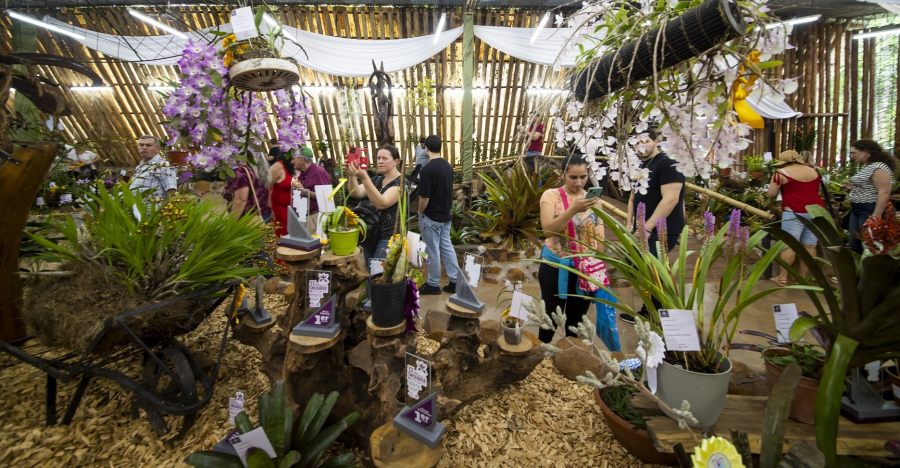 Todo listo en el Municipio misionero de Montecarlo para la Fiesta Nacional de la Orquídea y la 41° Fiesta Provincial de la Flor