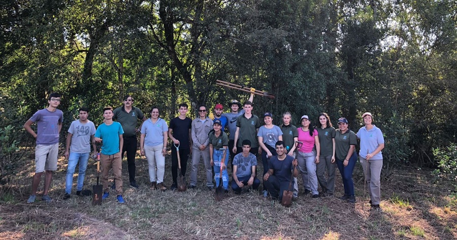 Árboles para yerbales productivos y sustentables en San Vicente