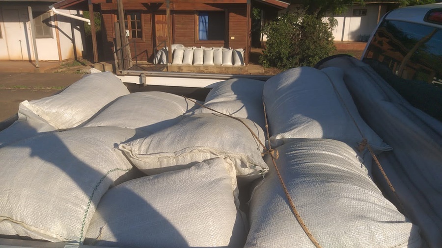 Intervención de yerba mate sin estampilla