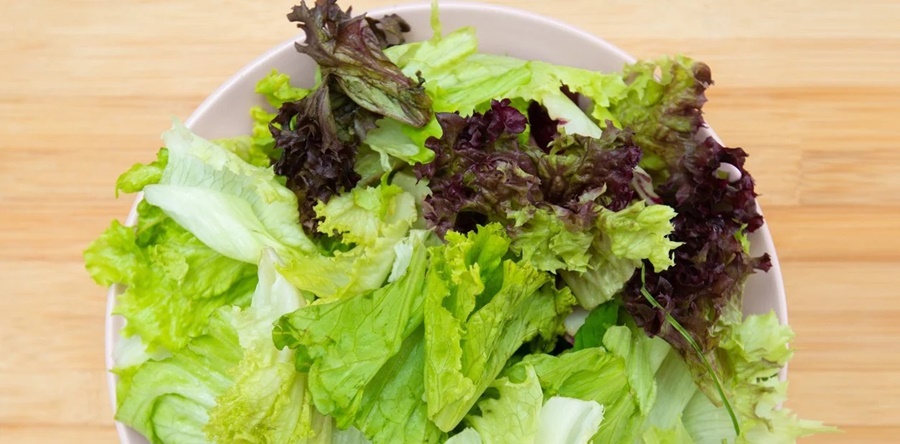 Cómo guardar la lechuga para que esté siempre fresca y dure más, el vegetal de hoja más consumido en Argentina