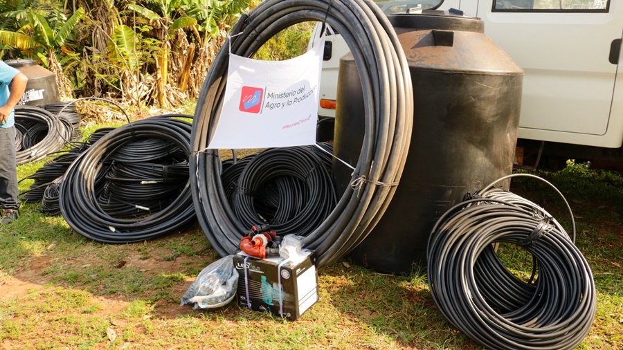 Consolidan cuencas de frutas para la diversificación productiva en Misiones