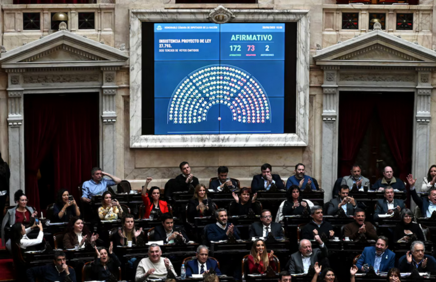 Uno por uno: Así votaron los Diputados el rechazo al veto del Presidente Javier Milei a la Ley de Emergencia en Discapacidad