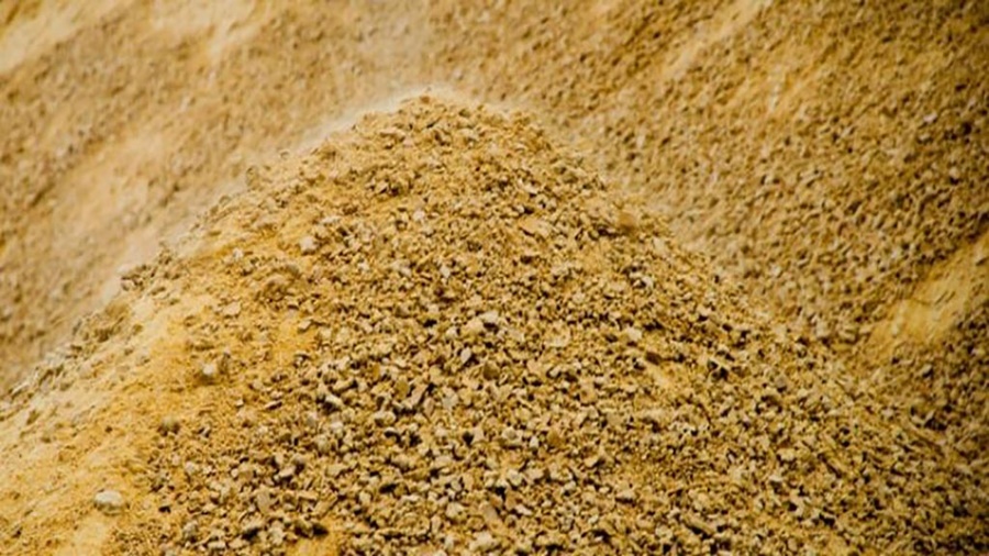 Habilitan la comercialización de una soja genéticamente modificada