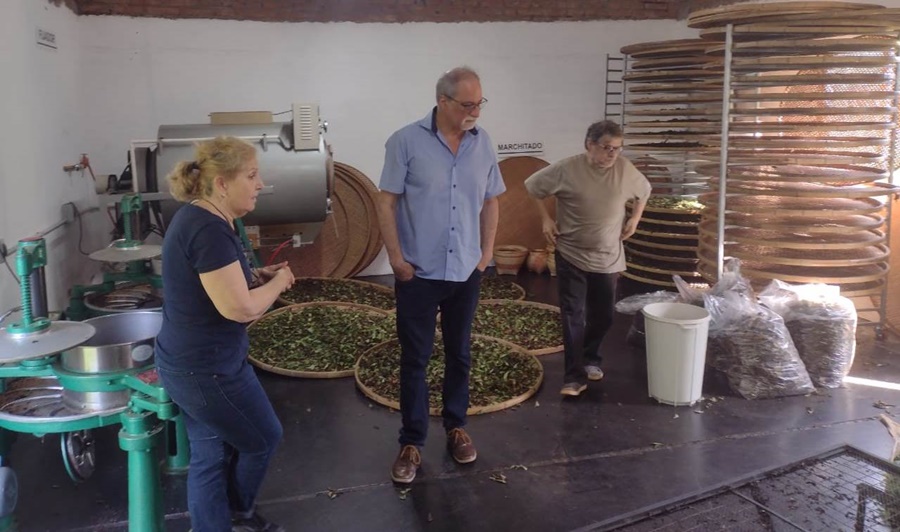 Misiones: Productores del sector tealero de la provincia participaron del primer taller del Programa Potenciar Alimentos, con el objetivo de mejorar la competitividad de sus productos