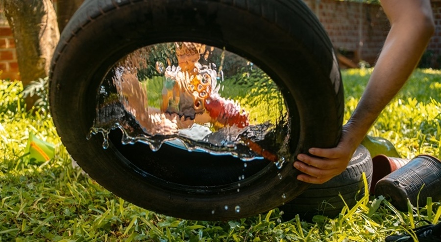 Preveni el Dengue: Después de la lluvia, elimina potenciales criaderos del Aedes Aegypti de tu casa