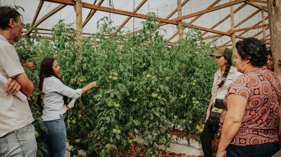 Con foco en el manejo sustentable, especialistas brindaron una capacitación a productores misioneros