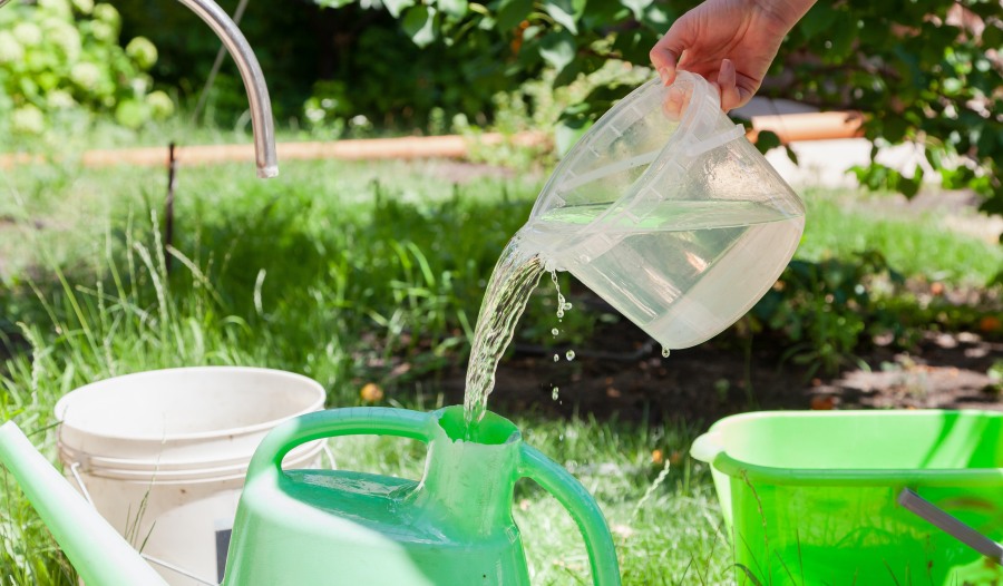 La importancia de cuidar el agua en verano