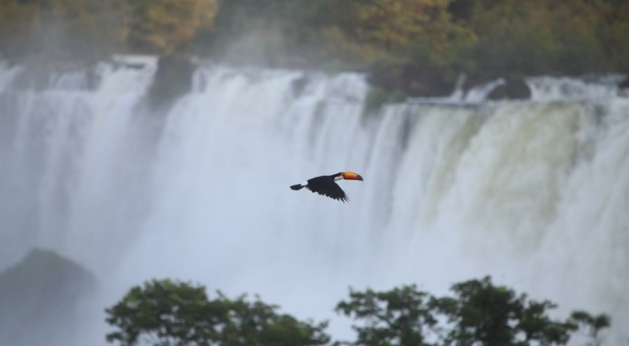 La provincia presenta su temporada de verano 2025 en la Casa de Misiones de la Ciudad Autónoma de Buenos Aires: El evento mostrará las propuestas más destacadas para el disfrute de residentes y turistas