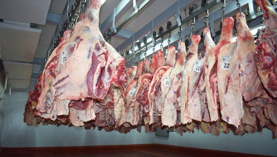 Creció más del 8% la faena bovina durante Enero
