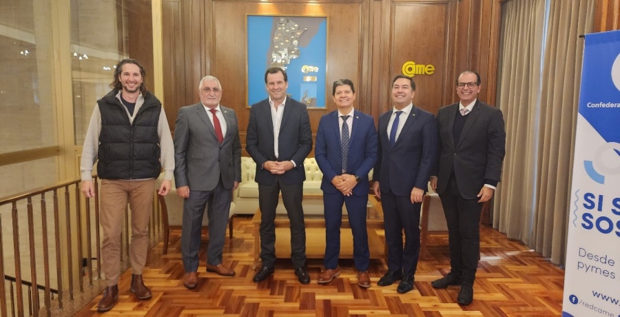 CAME, la Secretaría PyME y la SEBRAE analizaron estrategias para el desarrollo de las PyMEs