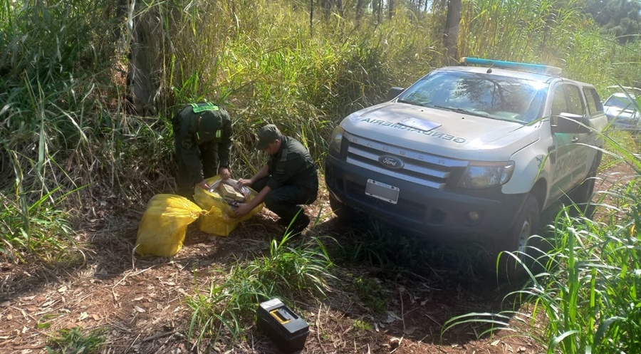 Fueron sorprendidos con casi cuarenta kilos de marihuana sobre sus espaldas