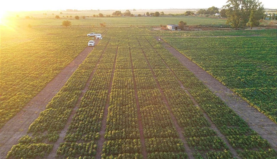 El Grupo INDECAR suma a Stine y a Bioceres a su proyecto de Centro Agrotecnológico Experimental