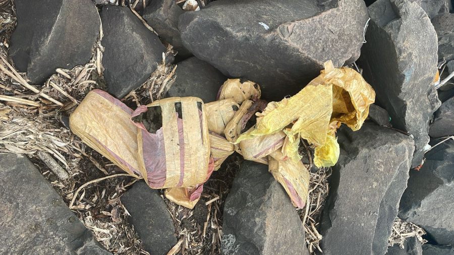 Hallaron cargamento de droga en zona costera de la ciudad de Posadas