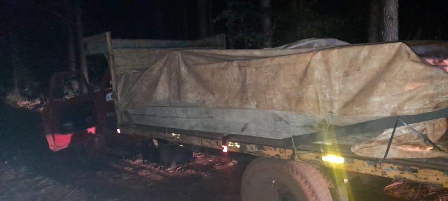 Gendarmes secuestraron camión con más de 3.500 kilos de marihuana, fue a la medianoche, en cercanías al Paraje Tarumá