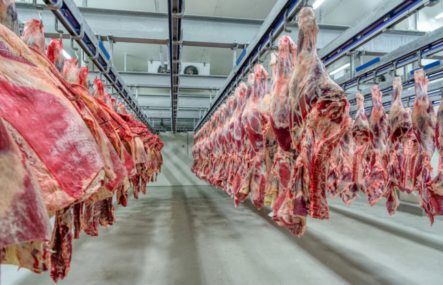 El Gobierno Nacional extendió la quita temporal de retenciones también a las carnes bovinas y avícolas