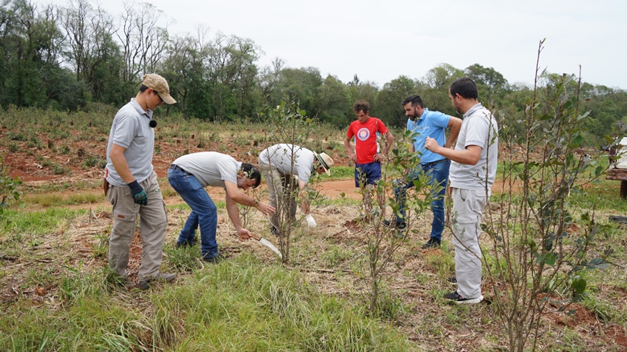 El equipo técnico del INYM brinda asesoramiento para recuperar yerbales afectados por eventos del clima
