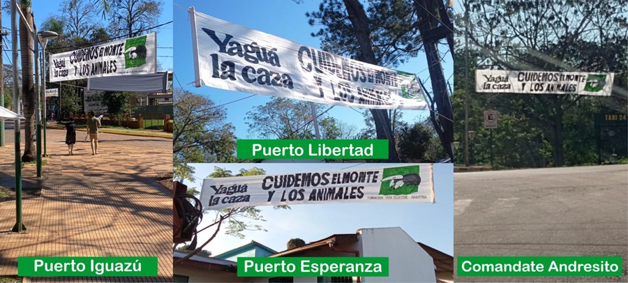 Municipios del norte de Misiones se suman a la campaña “Yaguá la Caza” para decir basta a la cacería en la provincia