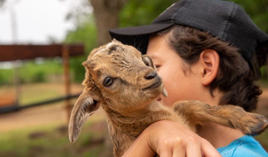 Actividades de turismo rural para estas vacaciones de invierno en la provincia de Misiones