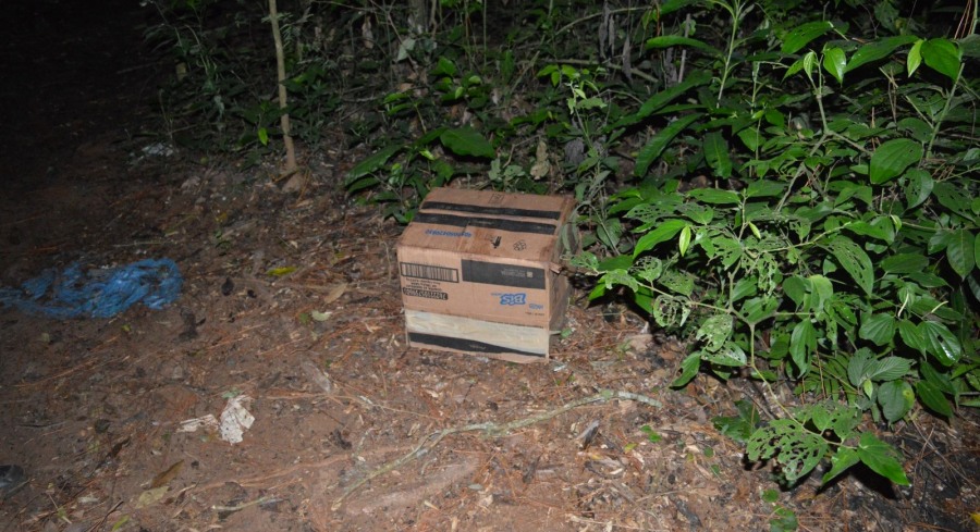 Incautación de estupefaciente, realizado por Gendarmería Nacional en la provincia de Misiones