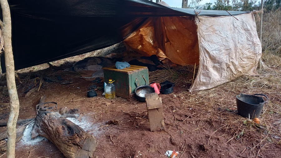 El RENATRE detectó indicios de explotación laboral, trabajo infantil y adolescente no protegido en Misiones