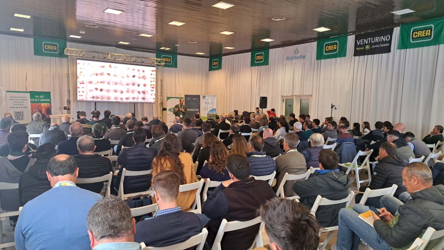 JAT Soja y girasol la Región CREA Sur de Santa Fe: Elección de la semilla, su sanidad y la disponibilidad del agua en el suelo, las claves para la próxima campaña de soja