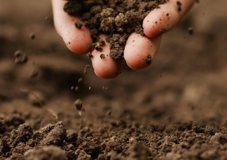 7 de Julio, Día Mundial de la Conservación del Suelo: Misiones avanza a constituirse en una provincia con cartografía de suelos y un manejo sustentable del mismo