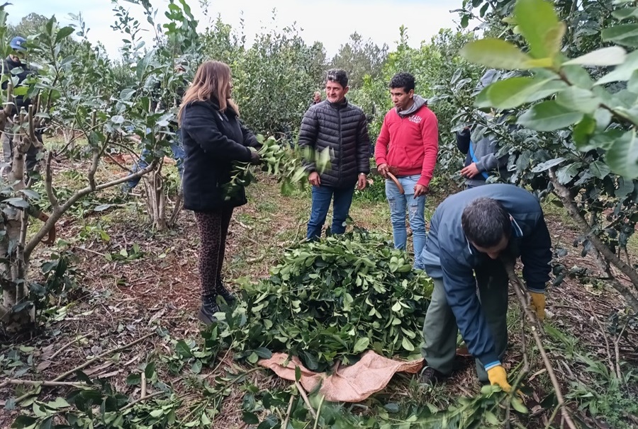 RENATRE: Finalizó una capacitación en manejo de la planta de yerba mate y buenas prácticas en Misiones