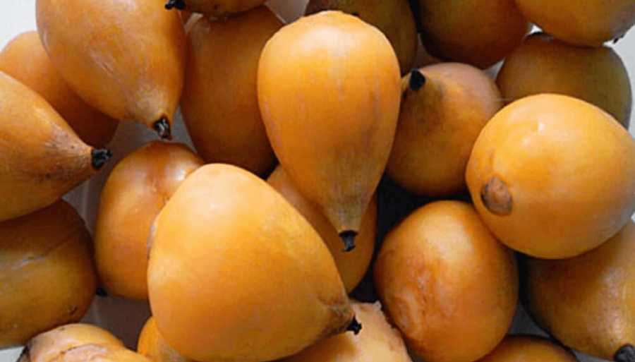 Un nuevo alimento “oficial”: Incorporan los frutos de la Palmera Yatay al Código Alimentario