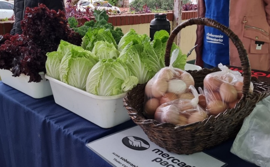 Apóstoles une la chacra con los estudiantes universitarios