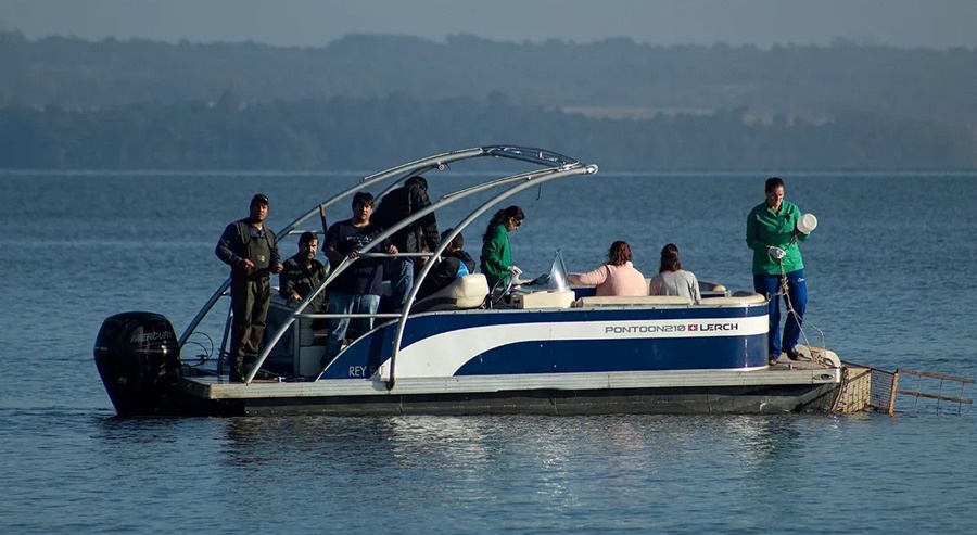 Posadas: Monitorean la calidad de agua y continúa la limpieza del Balneario El Brete