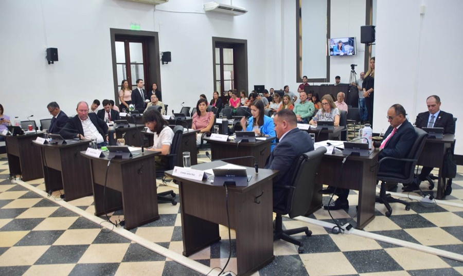 HCD de Posadas: Con varias iniciativas, se llevó adelante una nueva sesión ordinaria