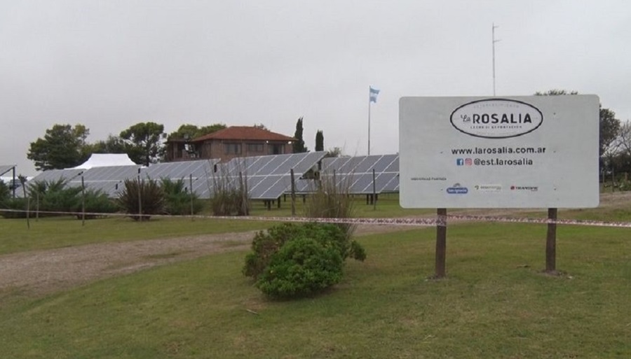 Entre Ríos: Un tambo modelo se achica y analiza cerrar sus tranqueras