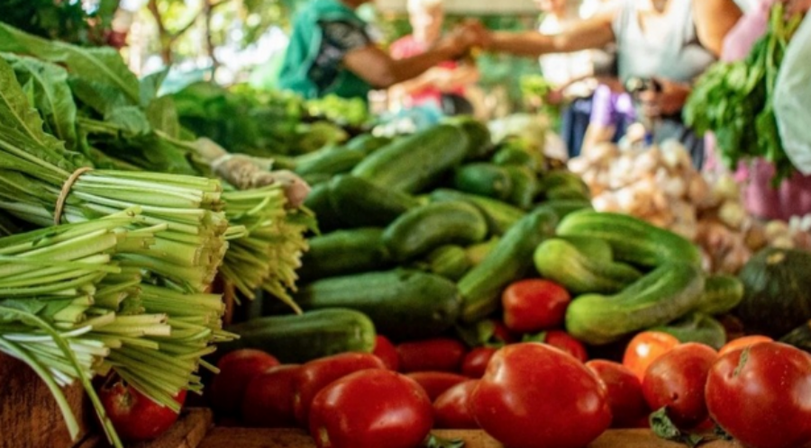 Del productor al consumidor, los precios de los agroalimentos se multiplicaron por 3,9 veces en Diciembre: Es decir, el consumidor pagó 3,9 pesos por cada 1 peso que recibió el productor