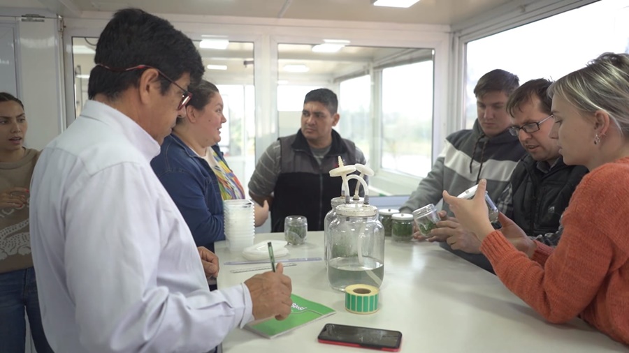 Biofábrica Misiones cerró la cuarta cohorte de la diplomatura en Biotecnología Vegetal