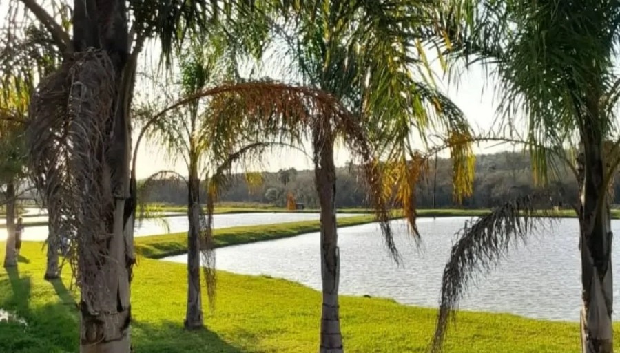 Turismo rural en Misiones: Campo Santa Evelyn, un refugio natural en la ciudad de Apóstoles para disfrutar de la tranquilidad