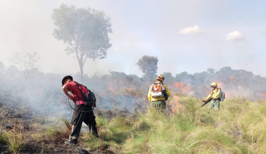 Emergencia ígnea en Misiones: Índice extremo de incendios en los Municipios de; Apóstoles, Puerto Iguazú, Candelaria, San Javier, Concepción de la Sierra