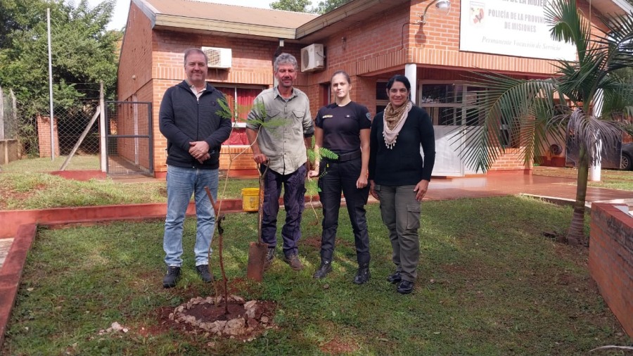 Apóstoles: En el marco del Día Internacional de la Madre Tierra, llevó a cabo una jornada de plantación de árboles en diferentes sectores de la ciudad
