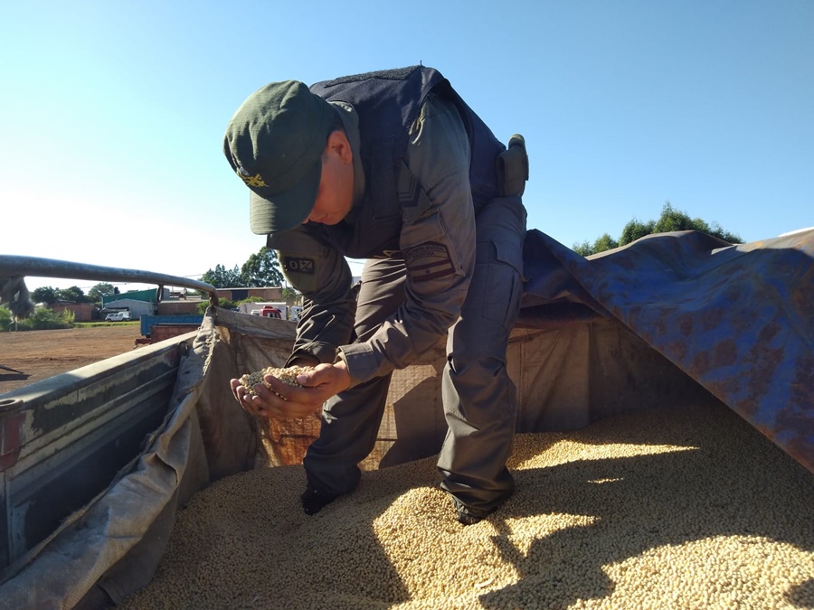 Misiones: Gendarmes secuestraron dos camiones con cargamento de granos de soja a granel, constataron irregularidades en la documentación respaldatoria