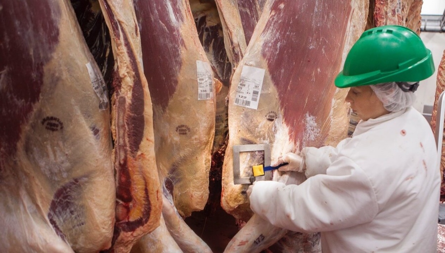 Faena: El Gobierno Nacional derogó una norma de 1991 de la Junta Nacional de Carnes
