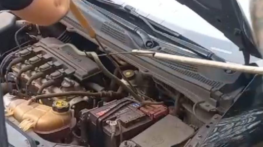 Posadas: Quiso encender su vehículo y tenía una víbora en el motor