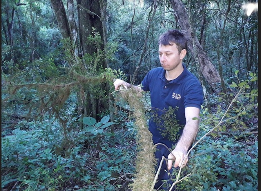 Misiones: Plantarán cientos de orquídeas nativas en espacios públicos de Oberá