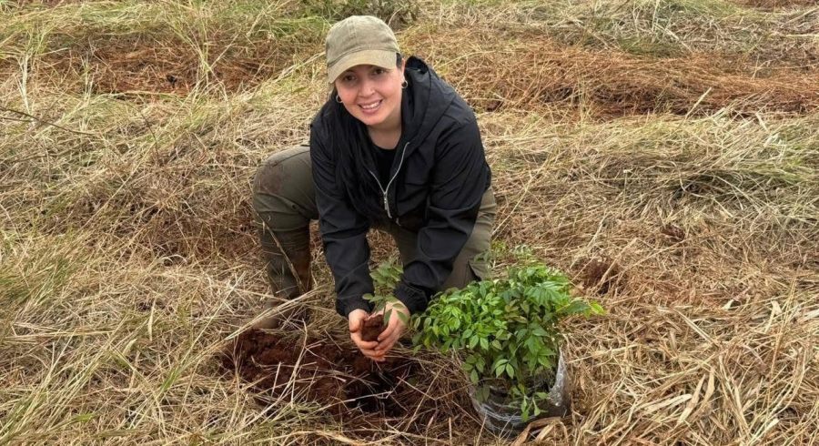 Suman diez mil nuevos árboles nativos a la selva misionera, en el marco del Plan de Restauración Funcional de la Selva Paranaense y Ecosistemas Asociados