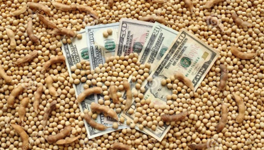En su retorno, el “dólar soja” fue recibido con fuertes críticas del campo