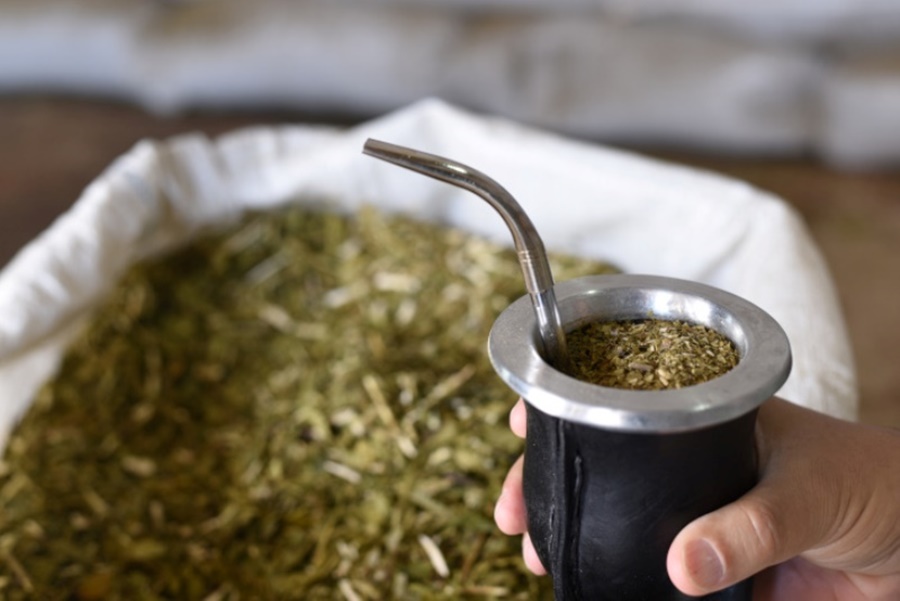 Yerba mate: En 2022 el consumo interno y las exportaciones superaron los 316 millones de kilos