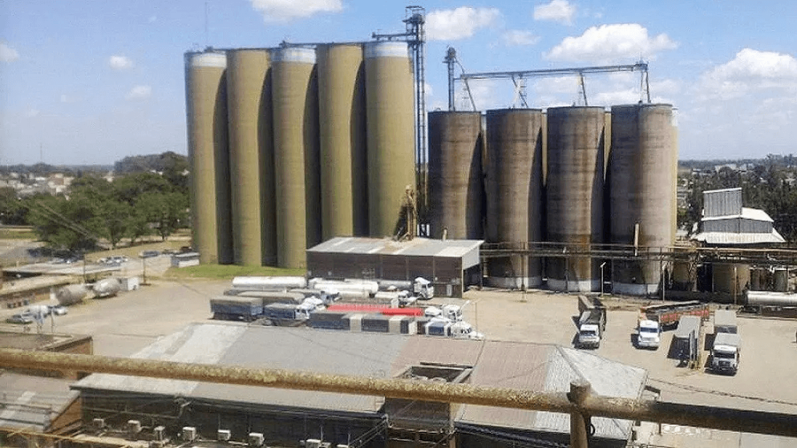 Se cierra el concurso: Molinos Cañuelas presentó el plan de pagos de su deuda por 1.290 millones de dólares